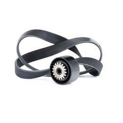 V Ribbed Belt Set RIDEX 542R0017 OE Ref 7701478934