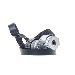 V Ribbed Belt Set RIDEX 542R0029 OE Ref 77 01 477 515