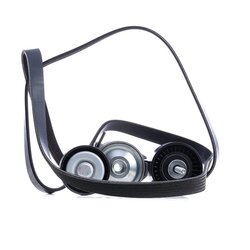 V Ribbed Belt Set RIDEX 542R0046