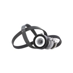 V Ribbed Belt Set RIDEX 542R0049 OE Ref 030 145 299 F