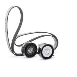 V Ribbed Belt Set RIDEX 542R0057 OE Ref 038 903 315 AG