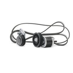 V Ribbed Belt Set RIDEX 542R0060 OE Ref 028 903 137 AR