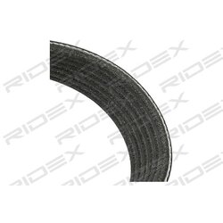 Courroie trapézoïdale à nervures 542R0062 pour CITROËN, PEUGEOT, FORD, MAZDA 16 138 444 80 RIDEX