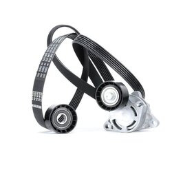 V Ribbed Belt Set RIDEX 542R0066 OE Ref 11925-00QAE