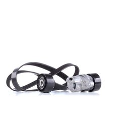 V Ribbed Belt Set RIDEX 542R0077 OE Ref 1611282380