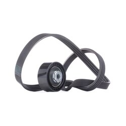 V Ribbed Belt Set RIDEX 542R0101 OE Ref 7701477540