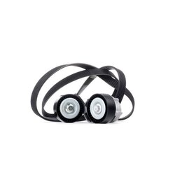 V Ribbed Belt Set RIDEX 542R0110 OE Ref 11 28 1 440 378