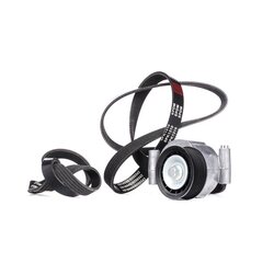 V Ribbed Belt Set RIDEX 542R0112 OE Ref 1251661