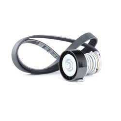 V Ribbed Belt Set RIDEX 542R0134 OE Ref 030 145 299 F