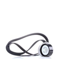 V Ribbed Belt Set RIDEX 542R0172 OE Ref 46820063