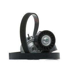 V Ribbed Belt Set RIDEX 542R0189