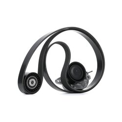 V Ribbed Belt Set RIDEX 542R0196 OE Ref 117505337R