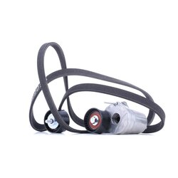 V Ribbed Belt Set RIDEX 542R0202