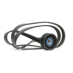 V Ribbed Belt Set RIDEX 542R0217 OE Ref ME3M5Q-6D361-BA