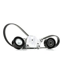 V Ribbed Belt Set RIDEX 542R0226 OE Ref 16 138 379 80