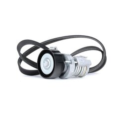 V Ribbed Belt Set RIDEX 542R0248 OE Ref 030 145 299 F