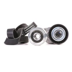 V Ribbed Belt Set RIDEX 542R0249 OE Ref 021903119G