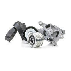 V Ribbed Belt Set RIDEX 542R0250 OE Ref 021903119G