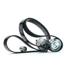 V Ribbed Belt Set RIDEX 542R0285 OE Ref MW30638574