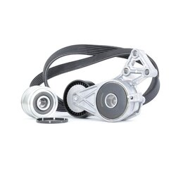 V Ribbed Belt Set RIDEX 542R0290 OE Ref 021903119G