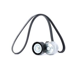 V Ribbed Belt Set RIDEX 542R0295 OE Ref 46546374