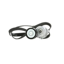 V Ribbed Belt Set RIDEX 542R0299 OE Ref 46820062