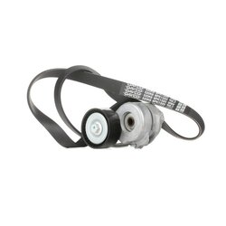 V Ribbed Belt Set RIDEX 542R0301 OE Ref 1340024