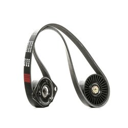 V Ribbed Belt Set RIDEX 542R0337 OE Ref 028903137T