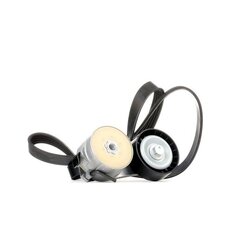 V Ribbed Belt Set RIDEX 542R0343