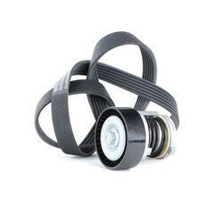 V Ribbed Belt Set RIDEX 542R0366