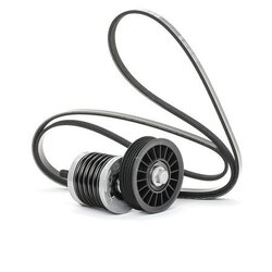 Courroie à nervures en V - RIDEX 542R0418