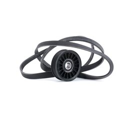 V Ribbed Belt Set RIDEX 542R0424