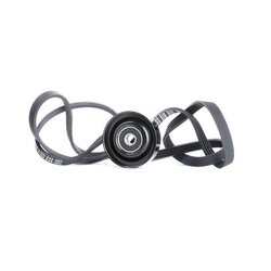 V Ribbed Belt Set RIDEX 542R0425