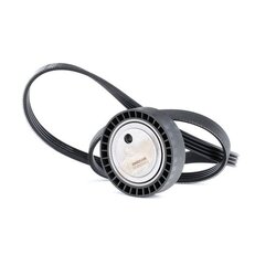 V Ribbed Belt Set RIDEX 542R0427