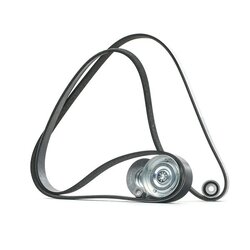 V Ribbed Belt Set RIDEX 542R0455 OE Ref 7701477511