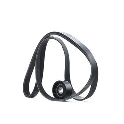 V Ribbed Belt Set RIDEX 542R0471