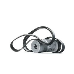 V Ribbed Belt Set RIDEX 542R0485