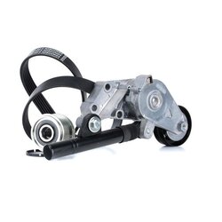 V Ribbed Belt Set RIDEX 542R0494 OE Ref 021903119G