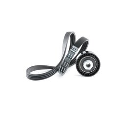 V Ribbed Belt Set RIDEX 542R0497 OE Ref 1172000QAS