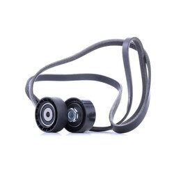 V Ribbed Belt Set RIDEX 542R0501 OE Ref 11720-00QAU