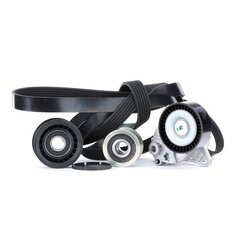 V Ribbed Belt Set RIDEX 542R0502 OE Ref 059 903 341 E