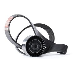 V Ribbed Belt Set RIDEX 542R0503 OE Ref 77 01 478 932