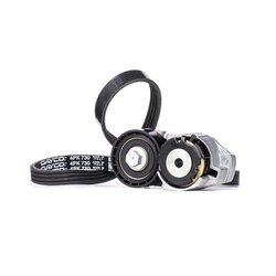 V Ribbed Belt Set RIDEX 542R0521