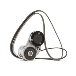 V Ribbed Belt Set RIDEX 542R0534