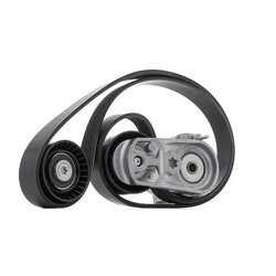 V Ribbed Belt Set RIDEX 542R0556 OE Ref 11 28 7 589 366