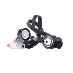 V Ribbed Belt Set RIDEX 542R0571