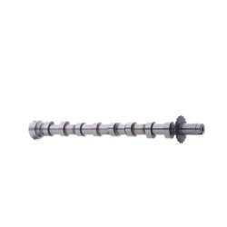 Camshaft RIDEX 566C0017 OE Ref 1495923