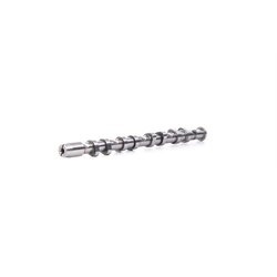 Camshaft RIDEX 566C0048 OE Ref 06F109102B