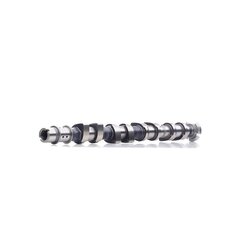 Camshaft RIDEX 566C0083 OE Ref 55568389