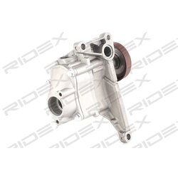 Pompe à huile RIDEX 596O0037 pour MERCEDES 646 180 1601 RIDEX